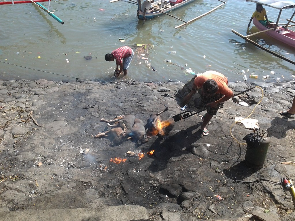 bakar anjing di belakang pasar bersehati manado