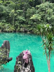 9cb4d8c1-c5ee-4928-805f-751d57f4580a